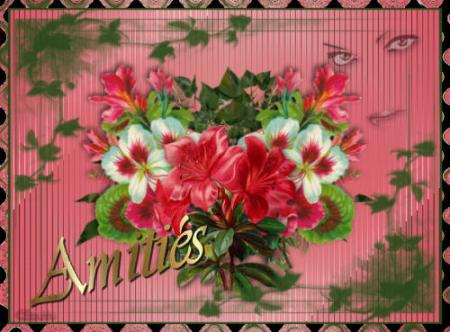 citation d'amour /amitie