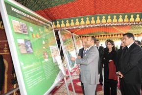 Sa Majest� le Roi Mohammed VI a Youssoufia